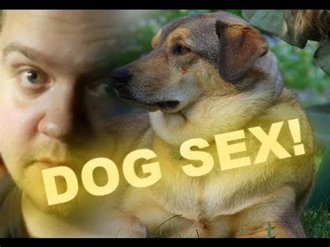 dog xxx video|Dog Sex